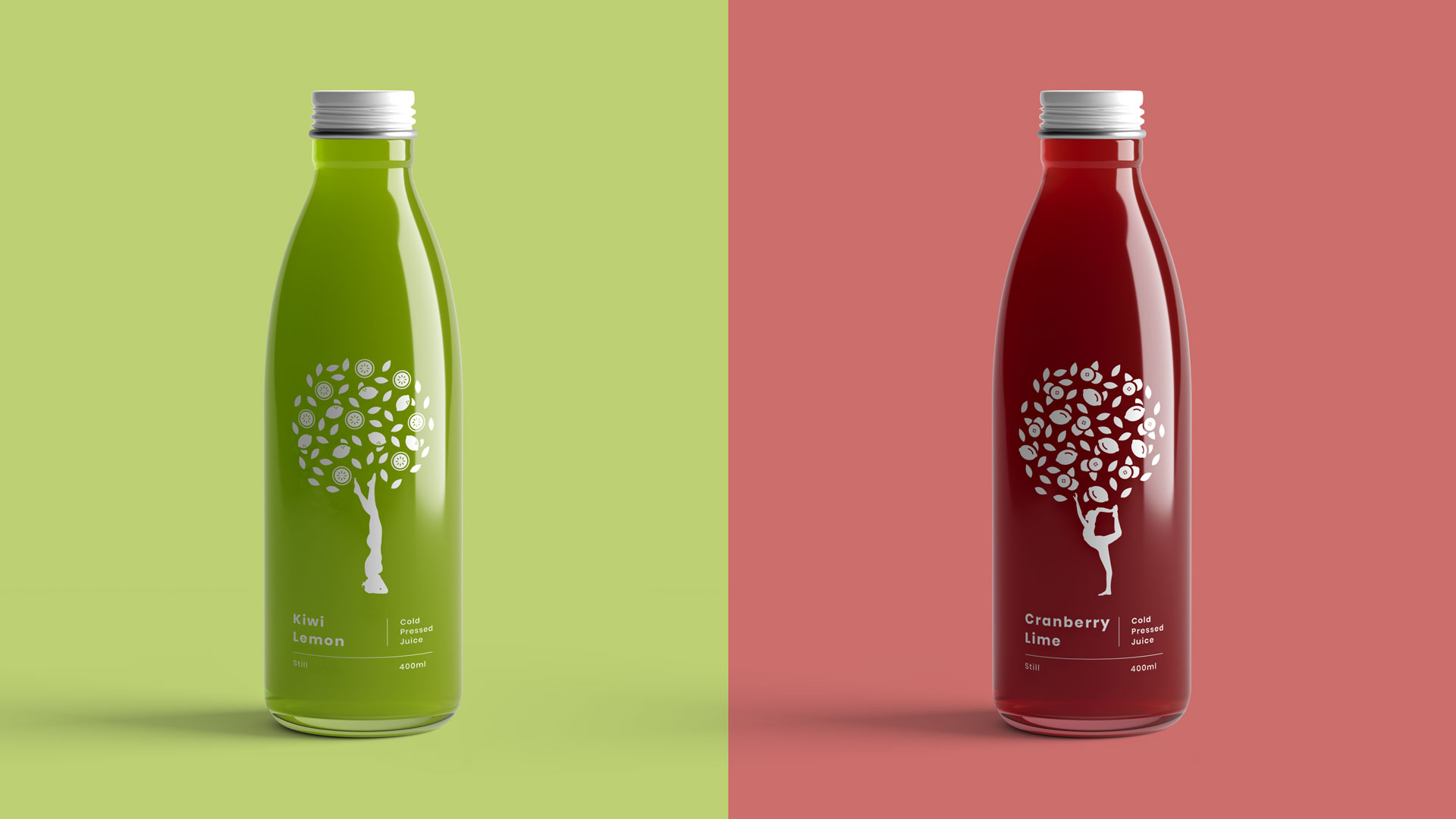 Kiwi and Lemon juice Final Outcome